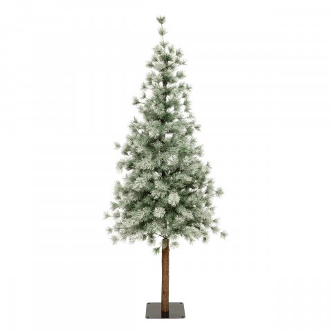 SAPIN NORDSTAR 180CM